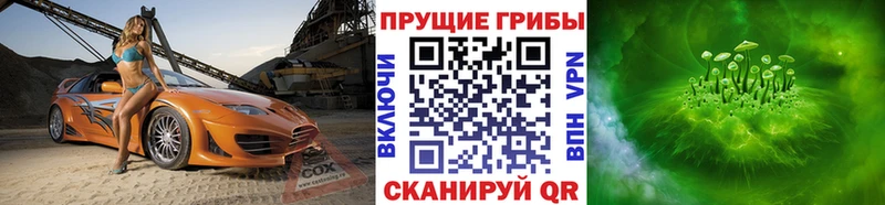 Купить где  Керчь  Псилоцибиновые грибы Magic Shrooms 